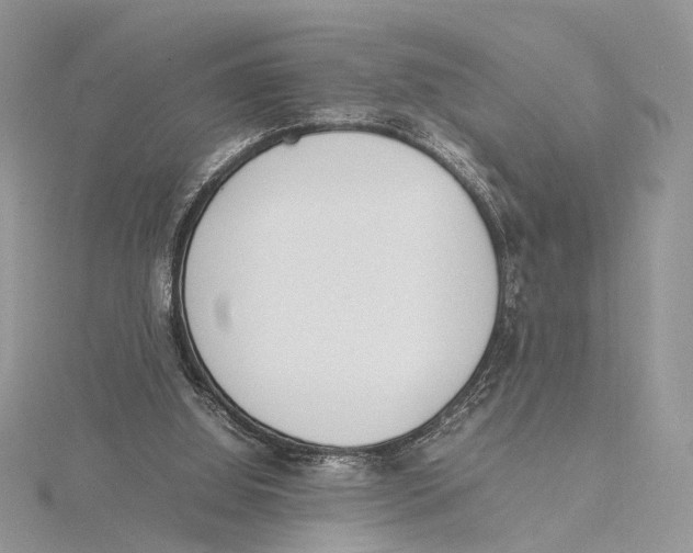 X0000115540060200912041019