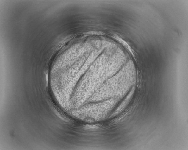 X0000115540061200912041019