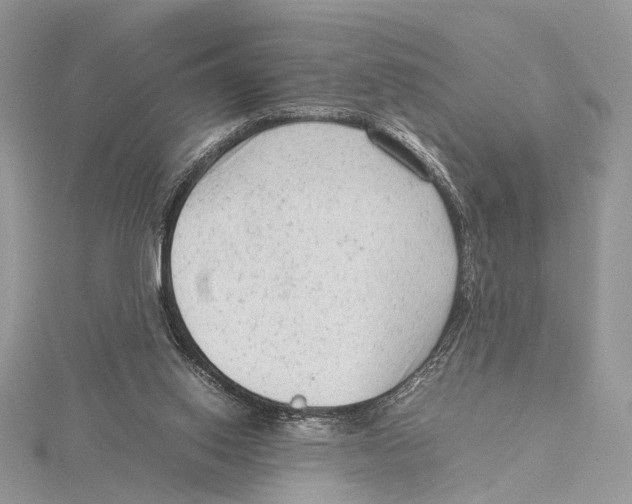 X0000115540062200912041019