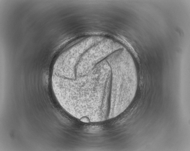 X0000115540063200912041019