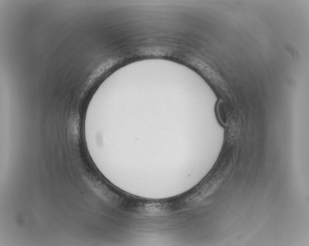 X0000115540064200912041019