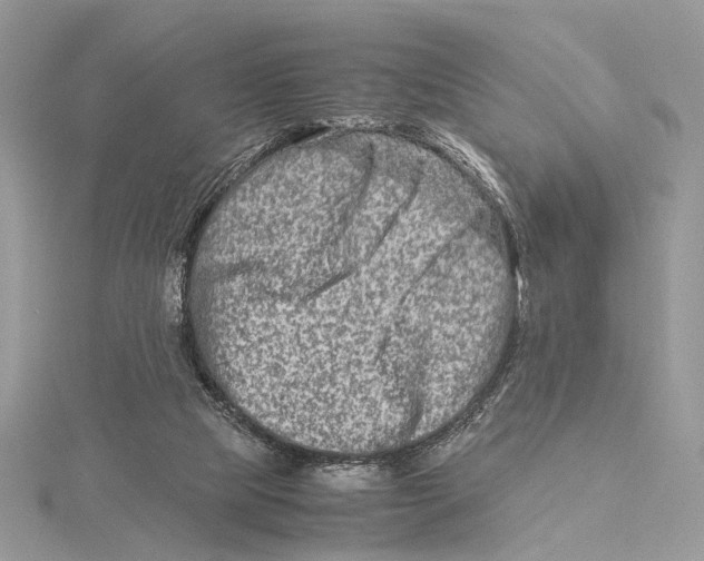 X0000115540065200912041020