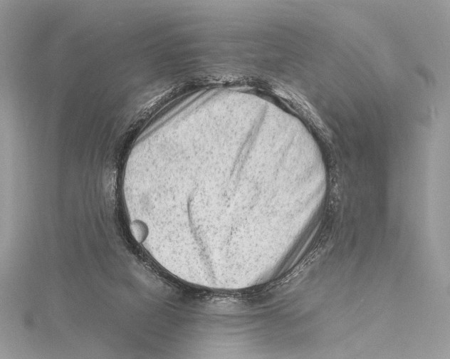 X0000115540066200912041020