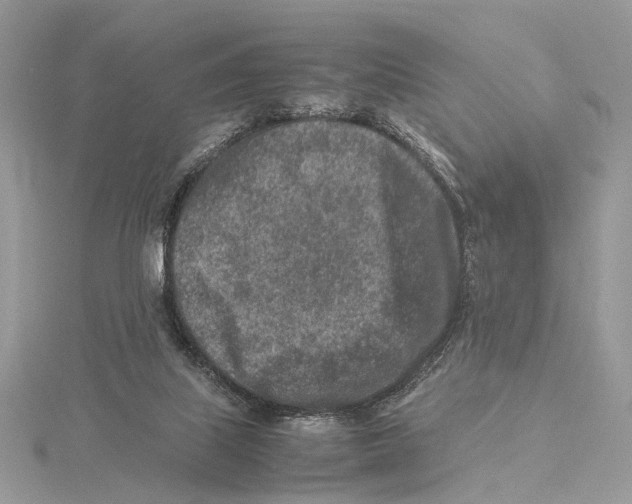 X0000115540067200912041020