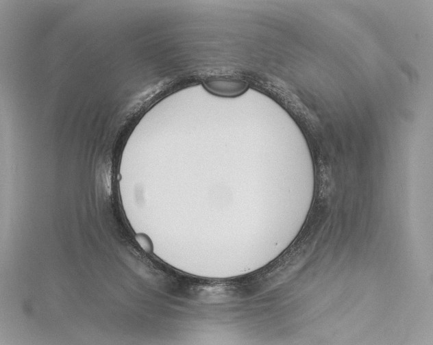 X0000115540068200912041020