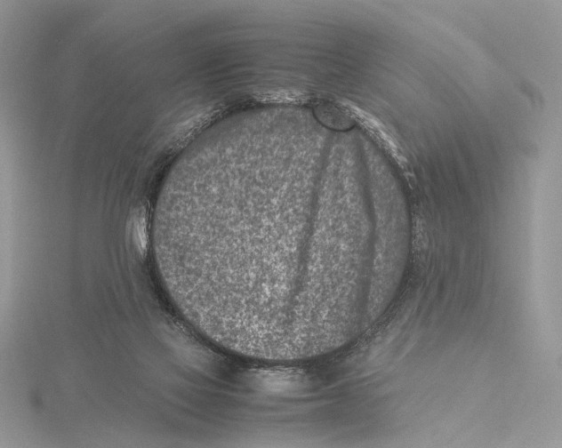 X0000115540069200912041020