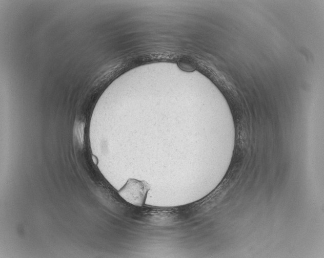 X0000115540070200912041020