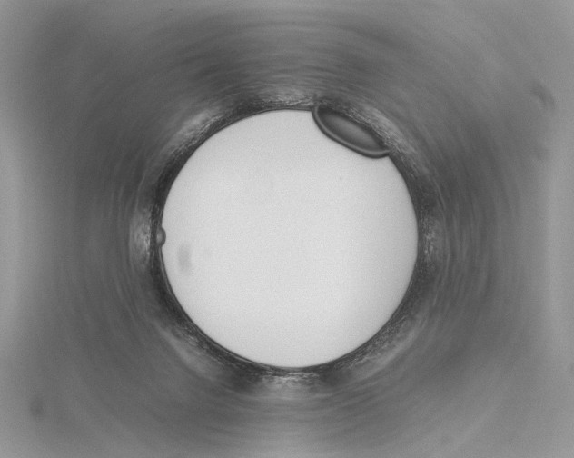 X0000115540072200912041020