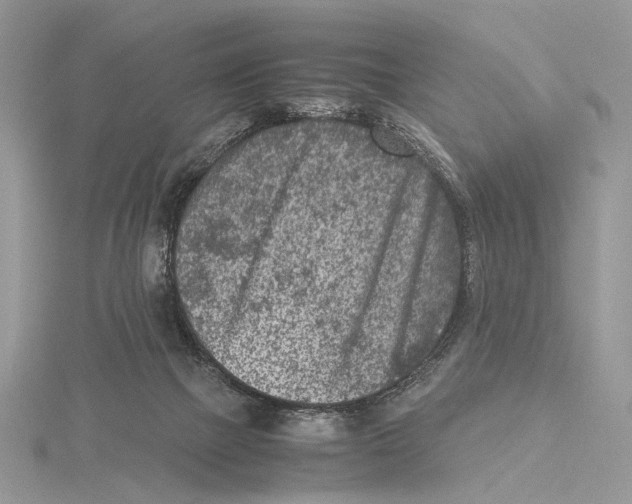 X0000115540073200912041020