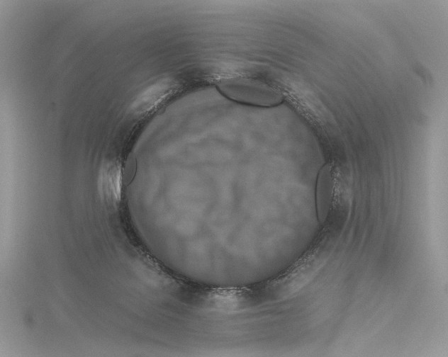 X0000115540076200912041020