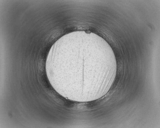 X0000115540078200912041020