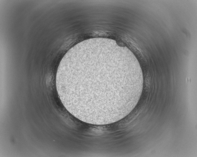 X0000115540079200912041020