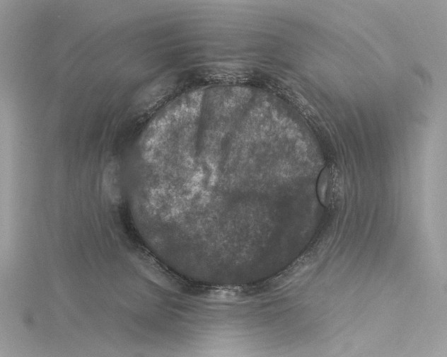 X0000115540080200912041020