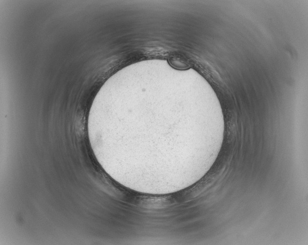 X0000115540081200912041020