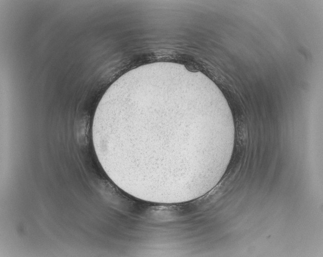 X0000115540082200912041020