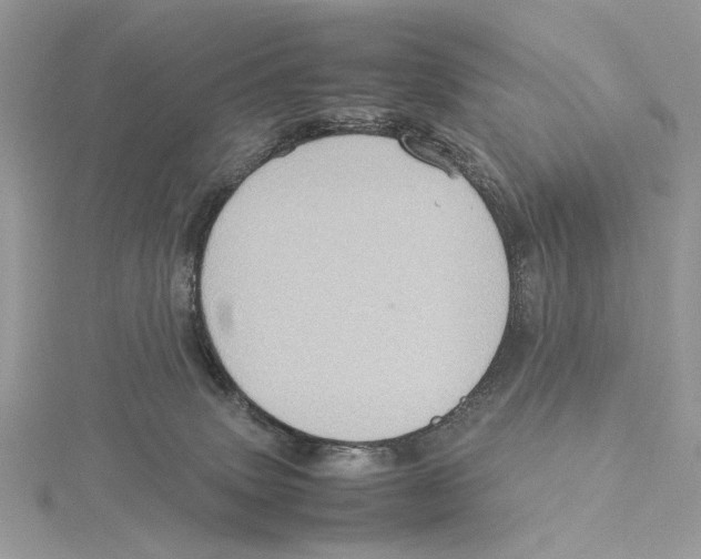 X0000115540083200912041020