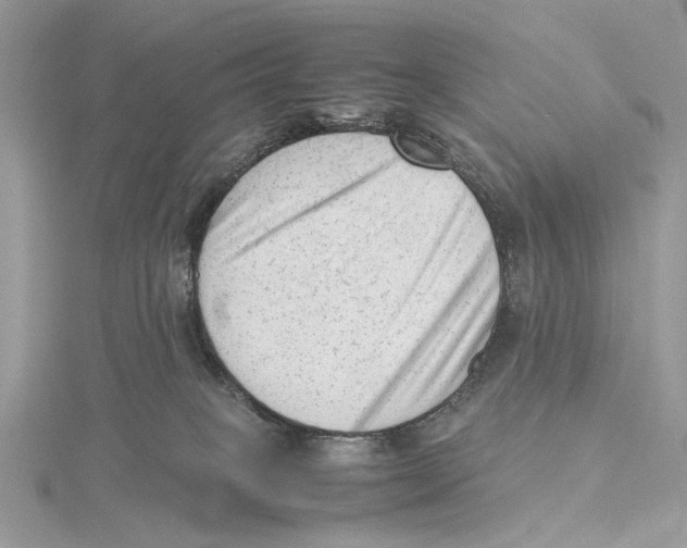 X0000115540085200912041020