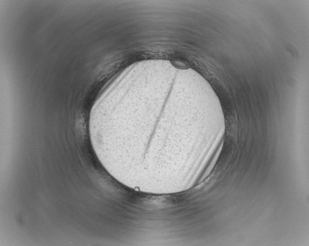 X0000115540086200912041020