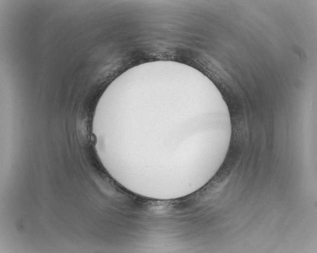 X0000115540088200912041020