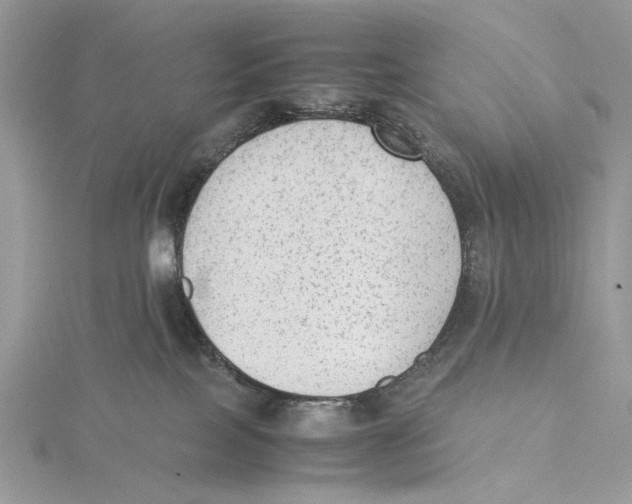 X0000115540089200912041020