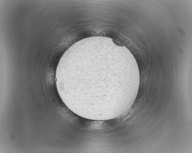 X0000115540090200912041020