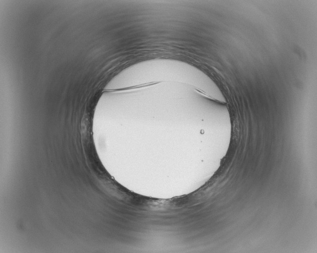 X0000115540092200912041020