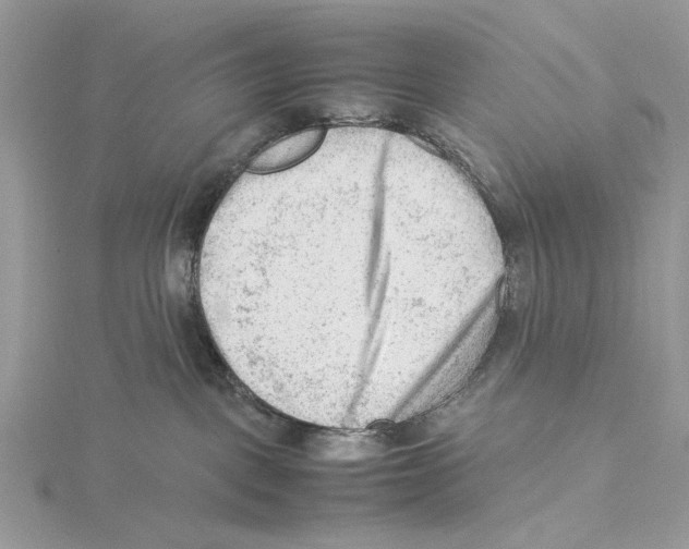 X0000115540093200912041020