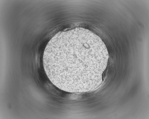 X0000115540094200912041020