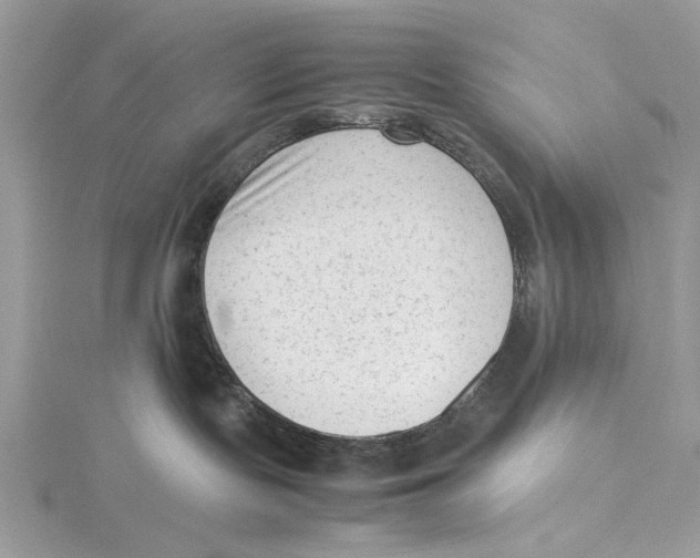 X0000115540095200912041020