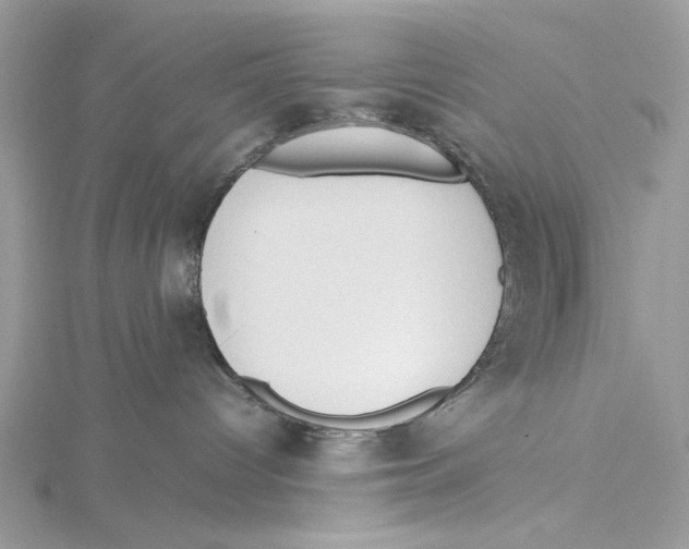 X0000115540096200912041020