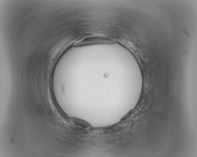 X0000115540097200912041019