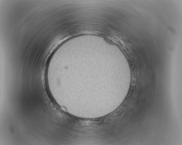 X0000115540098200912041019