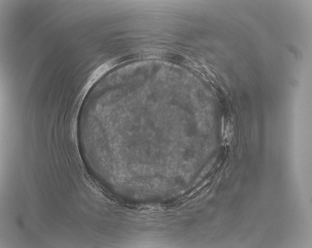 X0000115540099200912041019