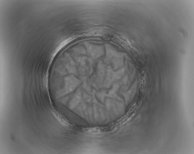 X0000115540100200912041019