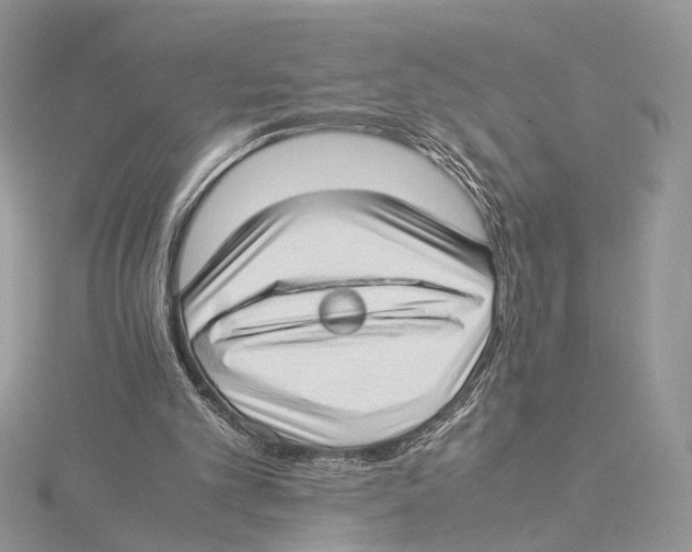 X0000115540101200912041019