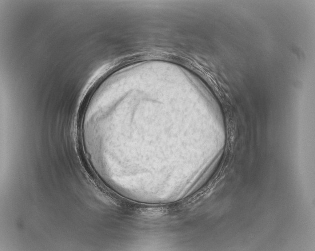 X0000115540102200912041019