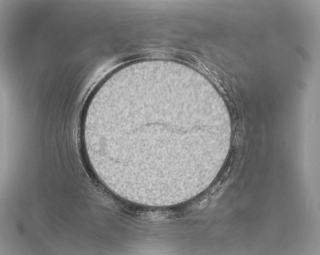 X0000115540103200912041019