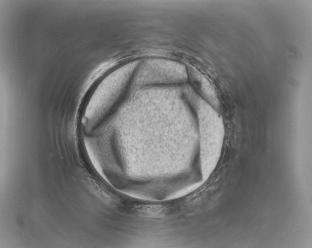 X0000115540104200912041019