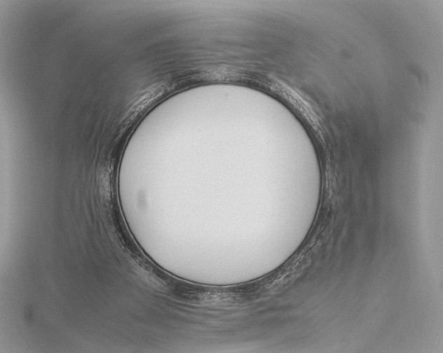 X0000115540105200912041019