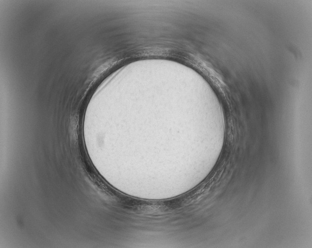 X0000115540107200912041019