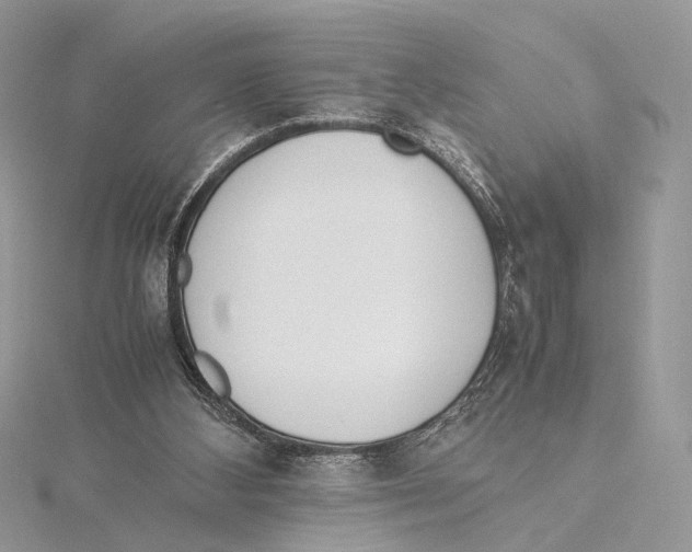 X0000115540108200912041019