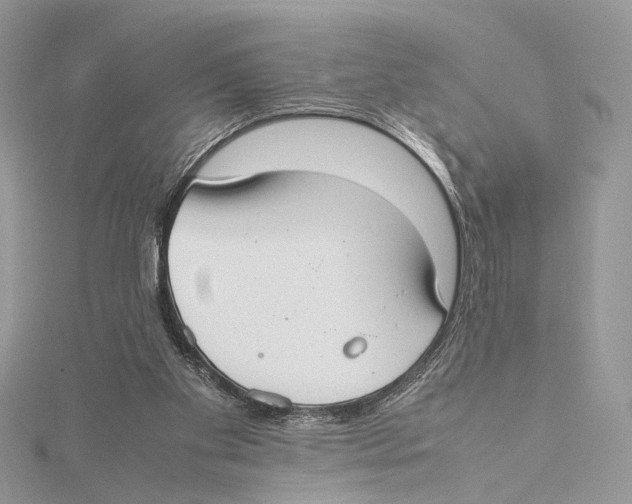 X0000115540109200912041019