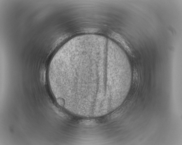 X0000115540110200912041019