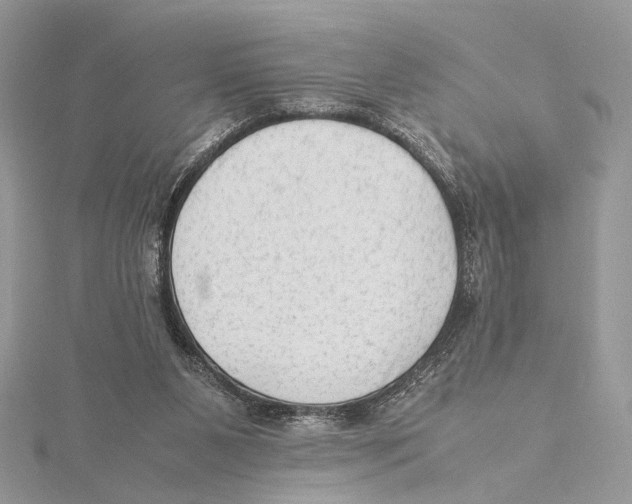 X0000115540111200912041019