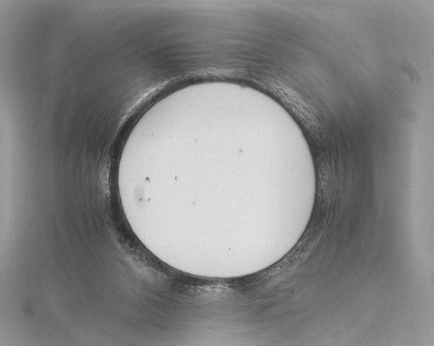 X0000115540112200912041019