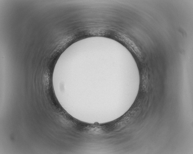 X0000115540113200912041019