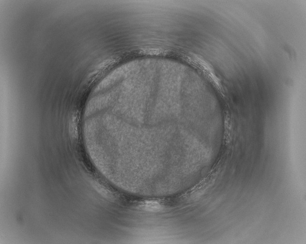 X0000115540114200912041019