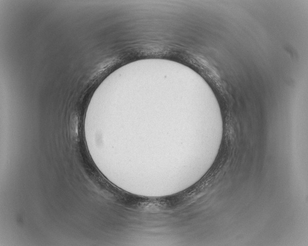 X0000115540115200912041019