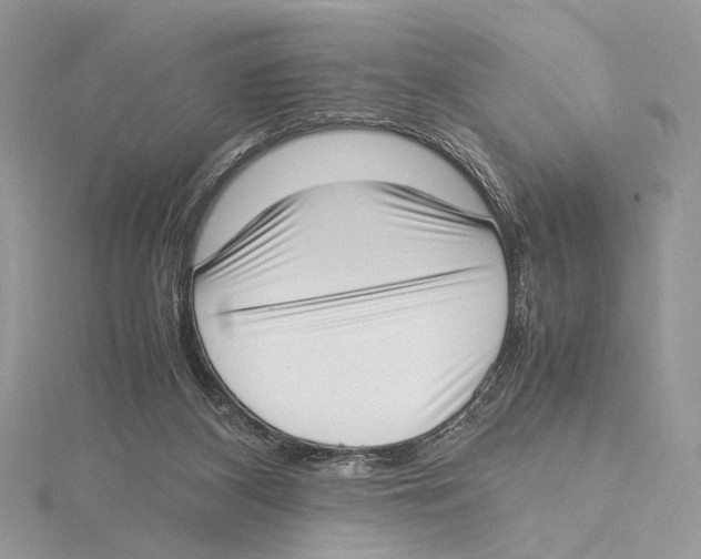 X0000115540116200912041019