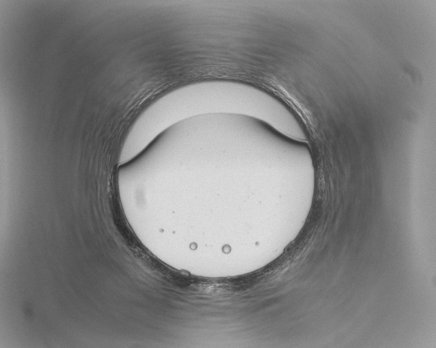 X0000115540117200912041019